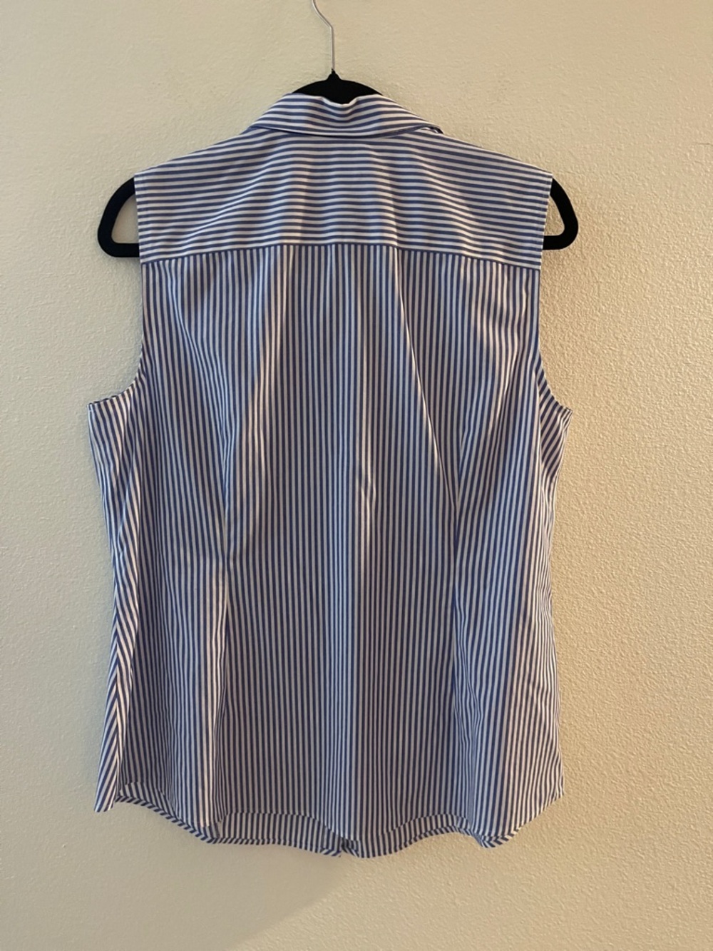 Talbots Blue and White Striped Sleeveless Button-Down Shirt - Picture 3 of 4